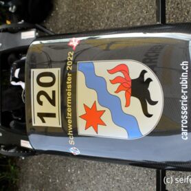 Ermatingen_FM_002.JPG