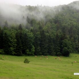 008-MK-2025_Langenbruck (10).JPG