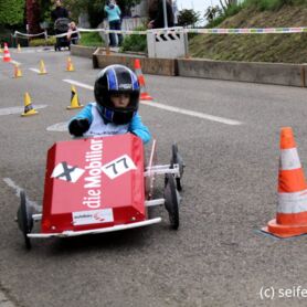 Ermatingen_FM_245.JPG