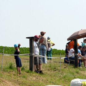 069-MK-2025_Buchs (30).JPG