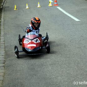 Ermatingen_FM_056.JPG