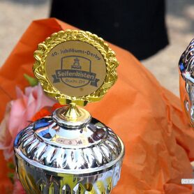 233-MK-2025_Buchs (130).JPG